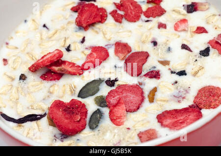 hausgemachtes Müsli mit getrockneten Früchten und Samen Stockfoto