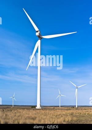 dh Camster Windpark CAMSTER CAITHNESS Windpark Turbines Moorland 25 vestas v80 2mw-Windturbinenpark Schottland vesta Blue Sky Field