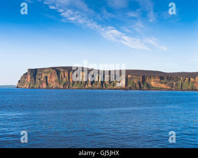 dh St Johns Head Seacliffs HOY ORKNEY Alte rote seacliff Sandstone Cliffs Großbritanniens höchste Küstenklippe Schottlands Stockfoto