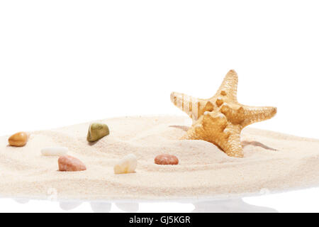 Seesterne und Meer Steinen auf Haufen von Strand sand isolierten auf weißen Hintergrund Stockfoto