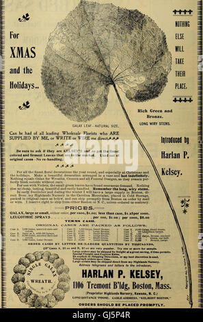 Die Floristen austauschen - eine wöchentliche Medium des Austausches für Floristen, Gärtner, Seedsmen und den Handel im Allgemeinen (1898) Stockfoto