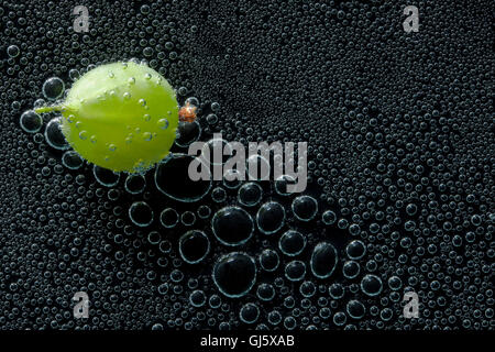Stachelbeeren Früchte in Mineralwasser, eine Reihe von Fotos. Close-up kohlensäurehaltiges Wasser vor schwarzem Hintergrund Stockfoto