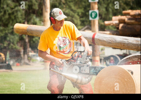 Derek Pouching von Viola Idaho in die offene Geschwindigkeit Ruckeln Ereignis.  Die Squamish Holzfäller Tag Logger Sport-Event. Stockfoto