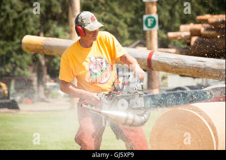 Derek Pouching von Viola Idaho in die offene Geschwindigkeit Ruckeln Ereignis.  Die Squamish Holzfäller Tag Logger Sport-Event. Stockfoto