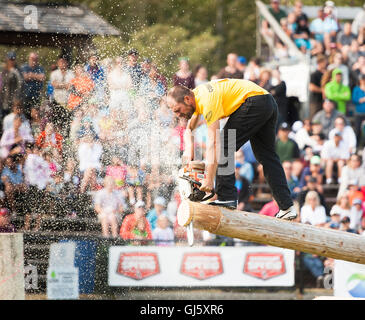 Eric Hoberg von Clinton Montana im offenen offenen Hindernis Ruckeln Ereignis.  Die Squamish Holzfäller Tag Logger Sport-Event. Stockfoto