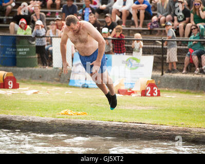 Ein Konkurrent nimmt einen Tauchgang nach offenen Team-Staffellauf.  Die Squamish Holzfäller Tag Logger Sport-Event.  Sonntag, 31 Juli 201 Stockfoto