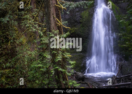 Eine horizontale Komposition Marymere Falls im Olympic Nationalpark in Washington. Stockfoto