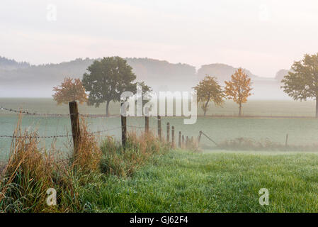 herbstliche Bäume und Holzzaun in nebligen Morgen Stimmung Stockfoto