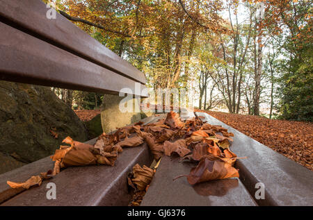 braune Herbstlaub auf Parkbank in perspektivischer Darstellung Stockfoto