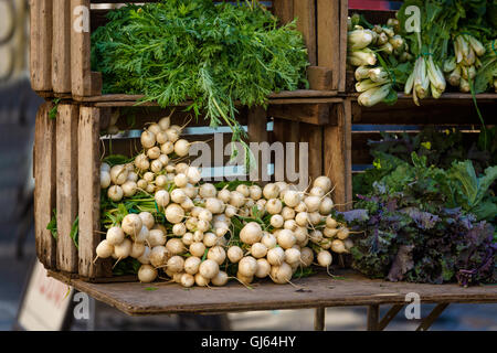 Frisches Gemüse (Karotten, Kohl, Rüben und Mangold) am Union Square Greenmarket Landwirte vermarkten, Manhattan, New York City Stockfoto