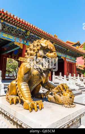 Löwe aus Bronze vor der Halle der höchsten Harmonie in Peking verbotene Stadt Stockfoto