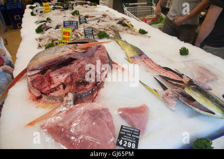 Moonfish oder Opah (pelagische Lampriform) große bunte Fische, hier in einem Sydney Fischhändler speichern Shop, Australien Stockfoto