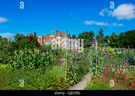 Garten von Burton Agnes Hall, in der Nähe von Driffield, East Yorkshire, England UK Stockfoto