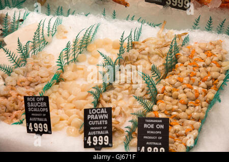 Fischhändler speichern Shop in Manly, Sydney, Australien Stockfoto