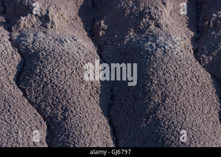 Erodierten Boden entlang einer Arroyo am Sevilleta National Wildlife Refuge, New Mexico, USA. Stockfoto