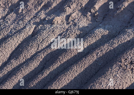 Erodierten Boden entlang einer Arroyo am Sevilleta National Wildlife Refuge, New Mexico, USA. Stockfoto