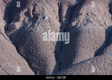 Erodierten Boden entlang einer Arroyo am Sevilleta National Wildlife Refuge, New Mexico, USA. Stockfoto