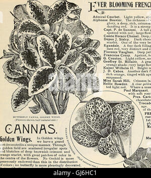 Händler und Floristen Großhandel Liste der Pflanzen (1897)