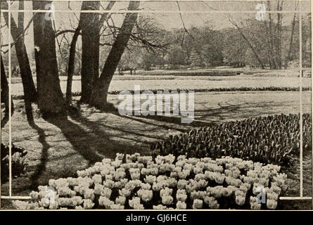 Bolgiano der Birnen Pflanzen Samen für den Herbst 1938 Bepflanzung (1938) Stockfoto