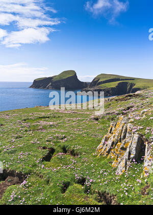 Dh Bu Ness FAIR ISLE SHETLAND Sparsamkeit Landspitze Schafe Rock Fair Isle Coast National Trust Schottland Stockfoto