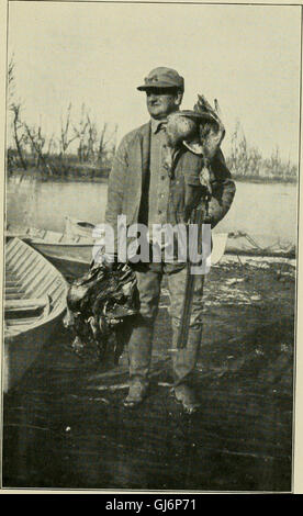 Ducking Tage - Erzählungen der Entenjagd, Studien von Federwild Leben und Erinnerungen an berühmte schützen auf die Sümpfe und die fallen (1919) Stockfoto