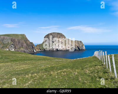 Dh Schafe Rock FAIR ISLE SHETLAND Große Meer stack Heelors Vaasetter der National Trust Schottland Landschaft Stockfoto