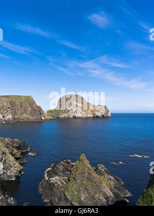 Dh Schafe Rock FAIR ISLE SHETLAND Große Meer stack Vaasetter der Heelors Schottland Inseln Stockfoto