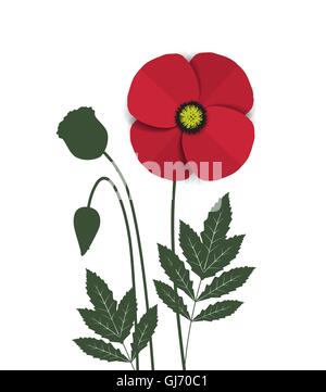 Rote Mohnblume Stock Vektor