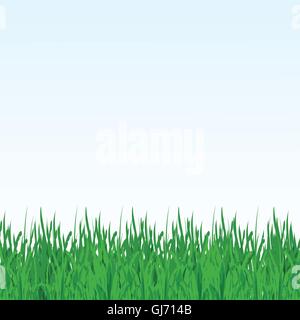 Vektor Illustration grünen Sommerwiese mit Blumen und Gräsern Stock Vektor