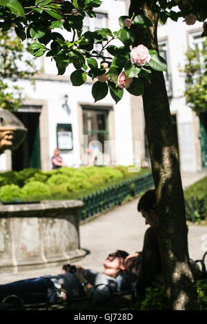 Frühling / April Szene in kleinen Platz in der Altstadt in der Nähe von Kathedrale von Santiago De Compostela. Santiago bietet Tausende von Besuchern. Die Kathedrale ist das berühmte Ziel von Wallfahrten in ganz Europa, dem Camino de Santiago, an diesen Ort in Galicien im Nordwesten von Spanien. Stockfoto