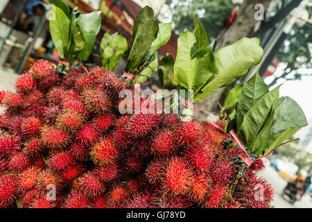 frische Rambutan Frucht, Litschi Frucht auf Markt, Jakarta. Indonesien Stockfoto