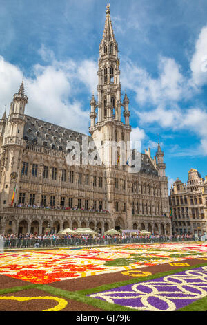 Blick auf die Altstadt Rathaus in Brüssel im Jahr 2016 Teppich Blumenfest Stockfoto