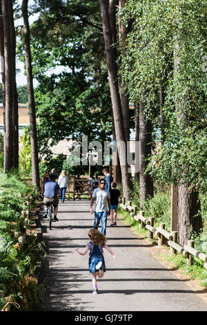 Center Parcs Woburn Wald, neueste Holiday Village Center Parcs UK, befindet sich in Bedfordshire, UK Stockfoto