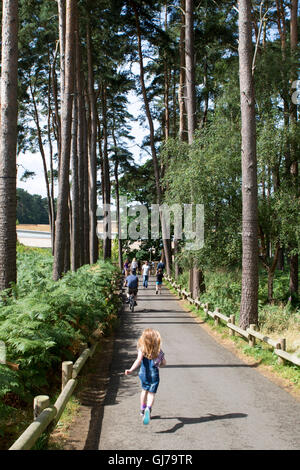 Center Parcs Woburn Wald, neueste Holiday Village Center Parcs UK, befindet sich in Bedfordshire, UK Stockfoto