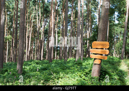 Center Parcs Woburn Wald, neueste Holiday Village Center Parcs UK, befindet sich in Bedfordshire, UK Stockfoto