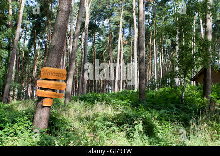 Center Parcs Woburn Wald, neueste Holiday Village Center Parcs UK, befindet sich in Bedfordshire, UK Stockfoto