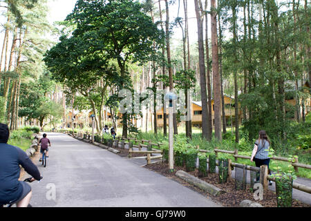 Center Parcs Woburn Wald, neueste Holiday Village Center Parcs UK, befindet sich in Bedfordshire, UK Stockfoto