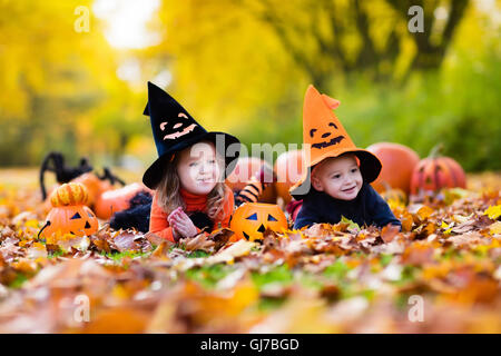 Kinder tragen schwarz und orange Hexenkostüme mit Hüte im Herbst Park an Halloween mit Kürbis und Spinne spielen. Stockfoto