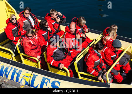 Gönner in roten überleben passt Sie sich auf eine Whale-watching-Tour Stockfoto