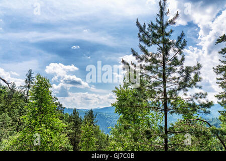 HDR-Ansichten während bergauf Makovytsya Ukraine Stockfoto