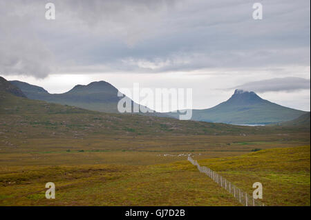 Quinag, Spidean Coinich am Ufer des Loch Assynt, North West Highlands, Schottland, Stockfoto