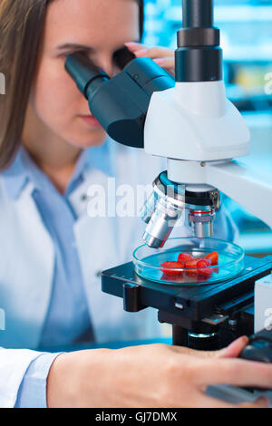 Qualitätskontrolle von Lebensmitteln. Junge Frau im chemischen Labor. Test der Erdbeere Stockfoto