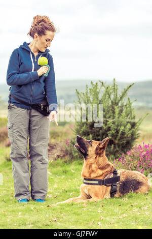 Hundetrainerin Frau und Hund im Park Trainingseinheit Stockfoto