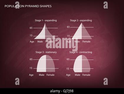 Bevölkerung und Demografie, Illustration-Satz von 4 Arten von Bevölkerung Pyramiden Diagramm oder Altersstruktur Graph auf Tafel Hinterg Stock Vektor