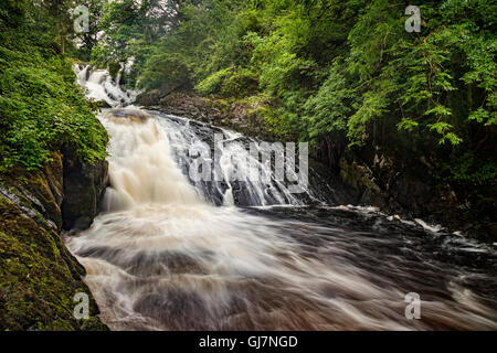 Schlucken fällt in Snowdonia-Nationalpark in der Nähe von Betws y Coed, Conwy, Wales, UK. Stockfoto