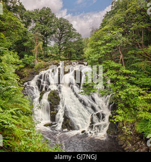 Schlucken fällt in Snowdonia-Nationalpark in der Nähe von Betws y Coed, Conwy, Wales, UK. Stockfoto