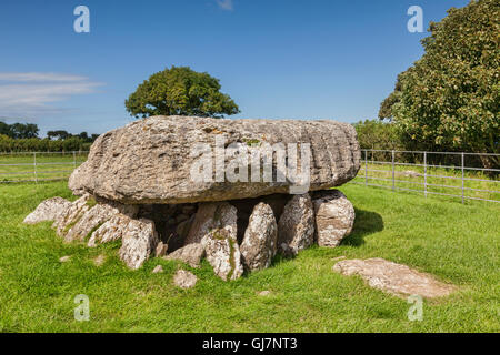 Lligwy Grabkammer, Anglesey, Wales, UK. Stockfoto