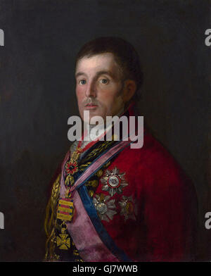 Feldmarschall Arthur Wellesley 1. Duke of Wellington tragen Feldmarschall-uniform. Porträt von Francisco Goya, 1812 – 14.  Feldmarschall Arthur Wellesley, 1. Duke of Wellington (1. Mai 1769 – 14. September 1852) war ein Anglo-Irischer Soldat und Staatsmann und einer der militärischen und politischen Persönlichkeiten des 19. Jahrhunderts Großbritanniens. Stockfoto