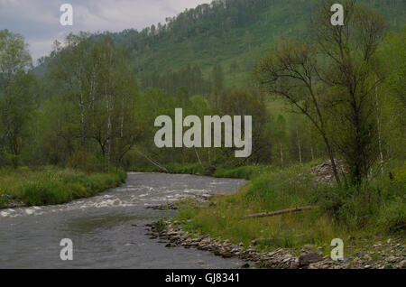 Landschaft der Gebirgsfluss unter Bäumen, einer Landschaft, Berg, Fluss, Steinen, Sommer, Wasser, fließt, auf Steinen, ein Rasen, Bäume, bewölkt Stockfoto