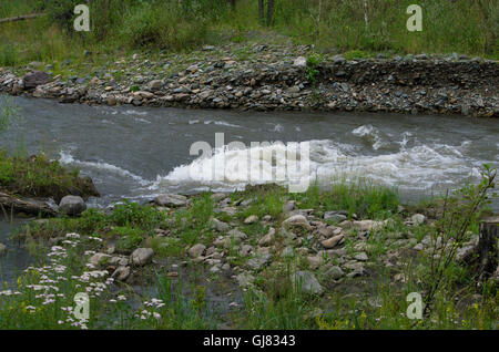 Landschaft der Gebirgsfluss unter Steinen, einer Landschaft, Berg, Fluss, Steinen, Sommer, Wasser, fließt, auf Steinen, ein Rasen Stockfoto